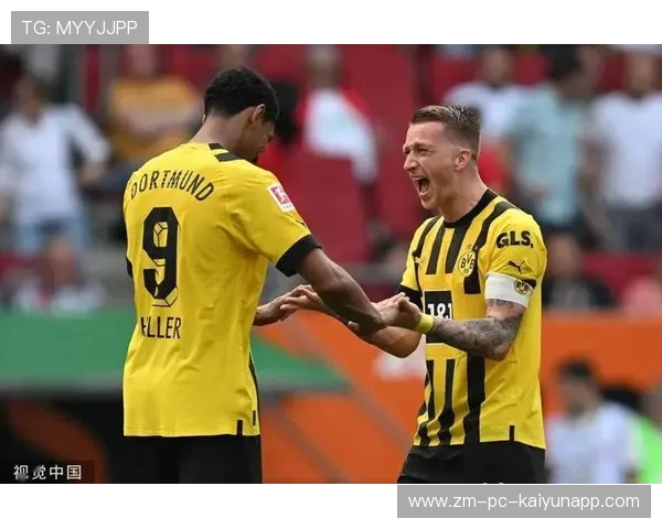 多特蒙德防线再失误，错失榜首机会，多特蒙德ds